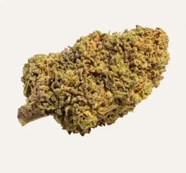 Cherry Mango CBD
