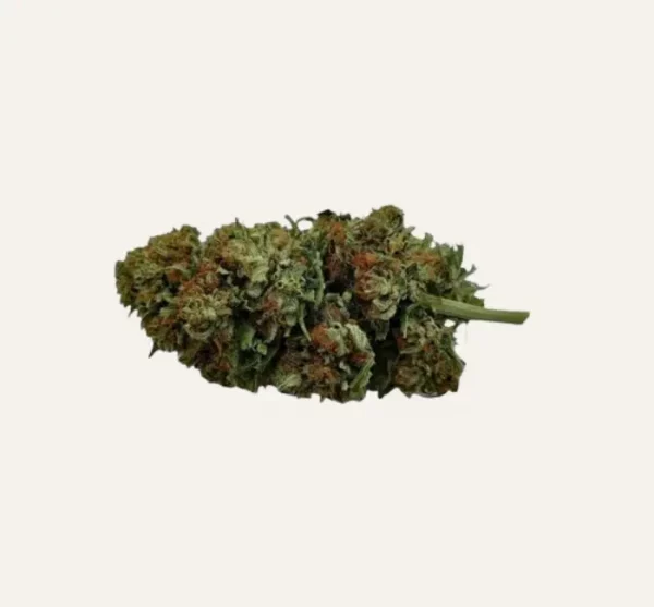 Enectarol CBG