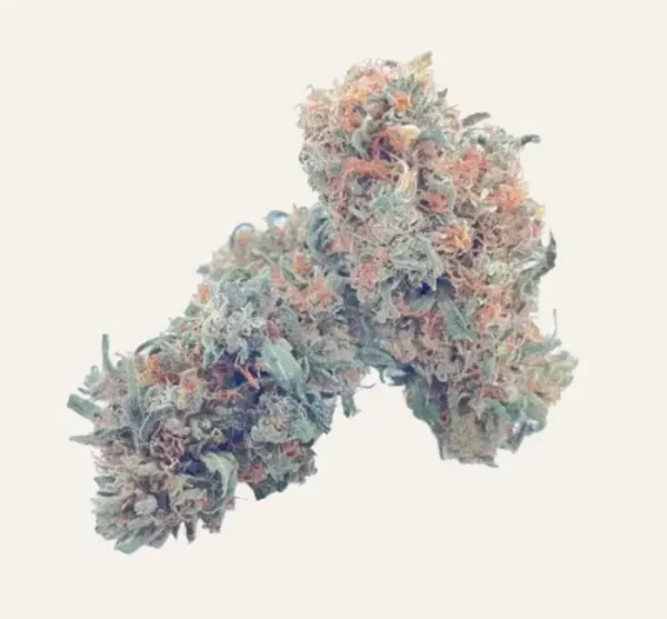 Forbidden V Seedless CBD