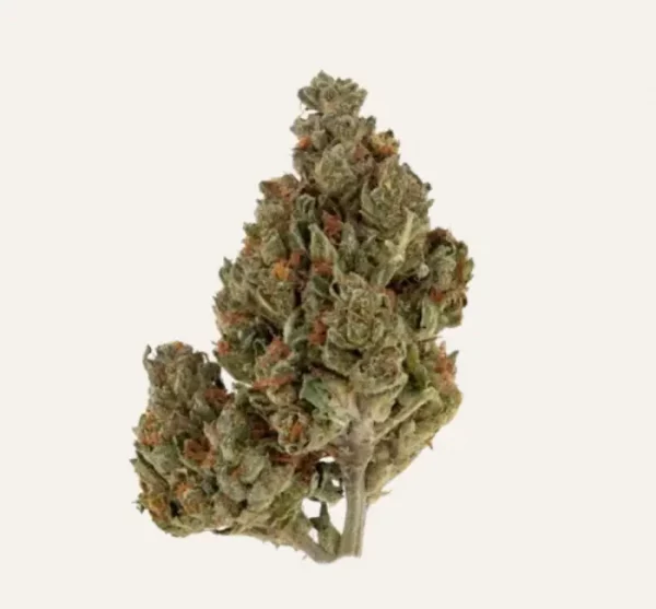 Legendary Platinum OG Diesel F1 CBD