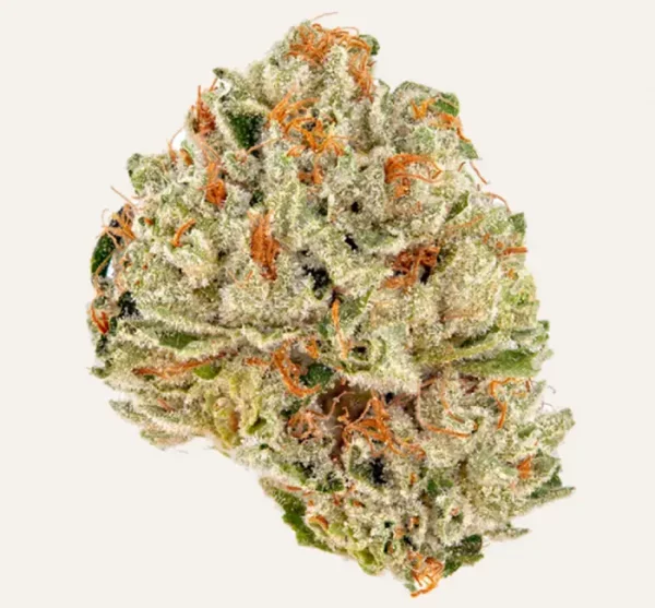 Morning Glory CBD