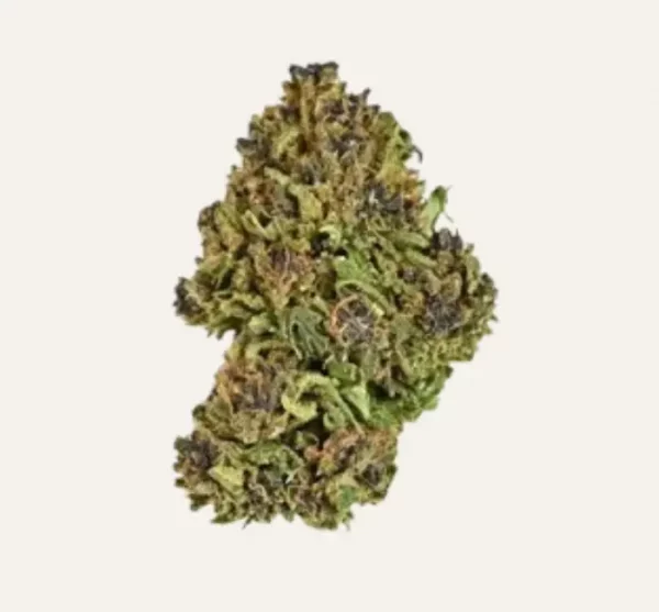 Pineapple Diesel F1 CBD