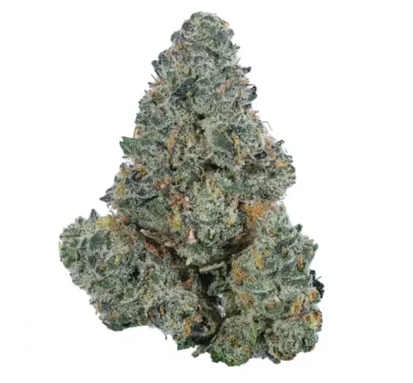 Blue Cheese CBD – Image 2