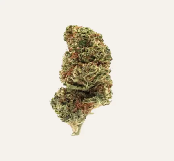 Western Cherry CBD